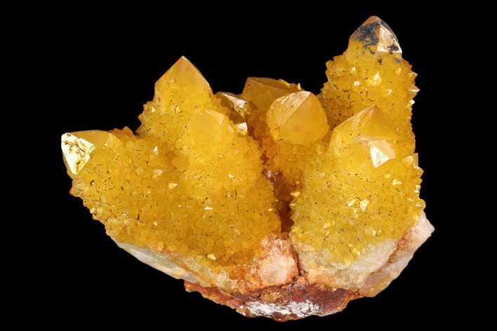 Sunshine Cactus Quartz Crystal - South Africa #93688
